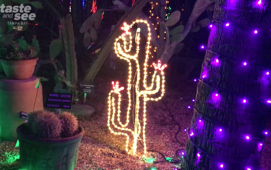 PHOTOS Christmas lights at the Florida Botanical Gardens in Largo